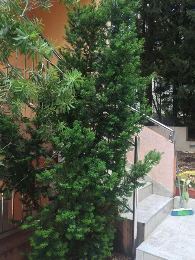 Apartmán Ruza Vetrova Bar Exteriér fotografie